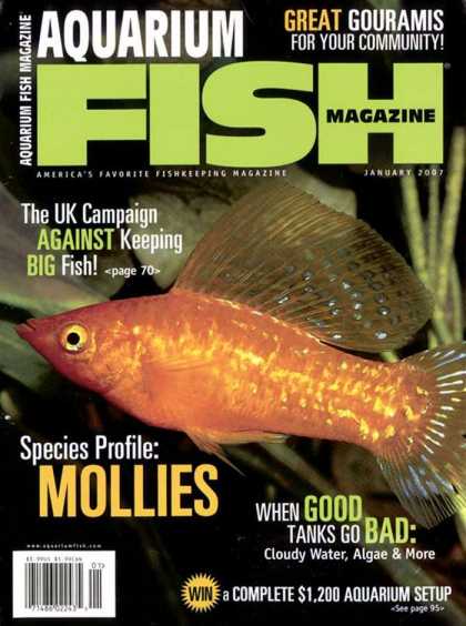 Various Magazines 5722