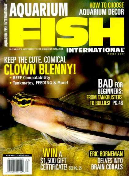 Various Magazines 5724