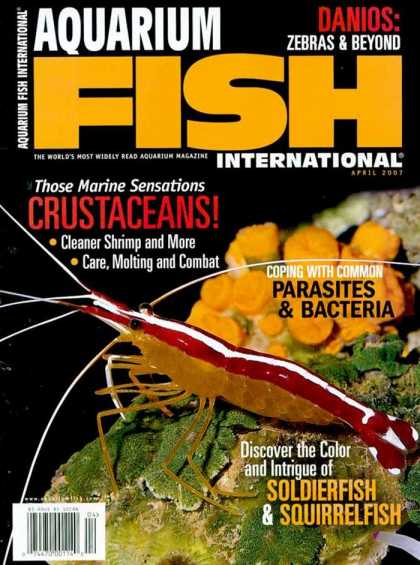 Various Magazines 5725