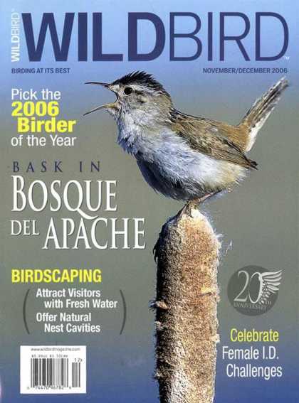 Various Magazines 5737