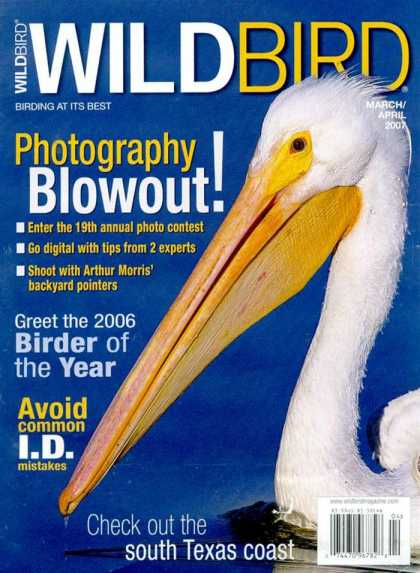 Various Magazines 5739