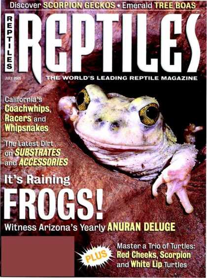 Various Magazines 5756