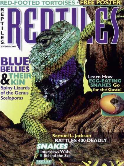 Various Magazines 5764