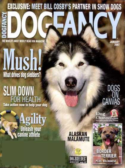 Various Magazines 5845