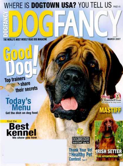 Various Magazines 5846