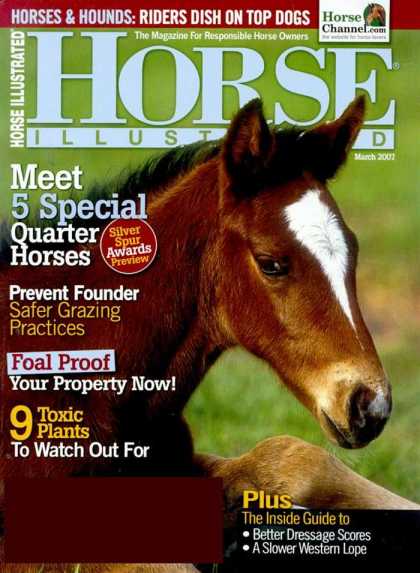 Various Magazines 5873