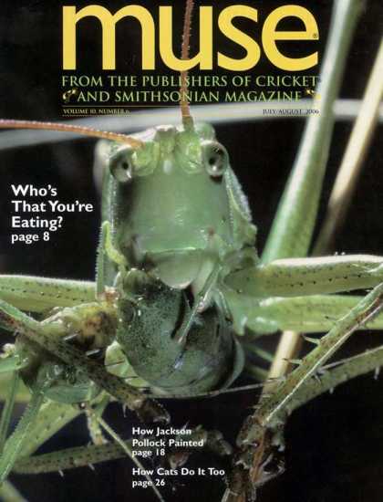 Various Magazines 6071