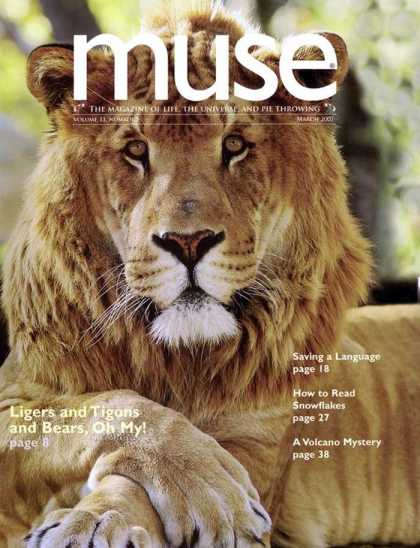 Various Magazines 6077