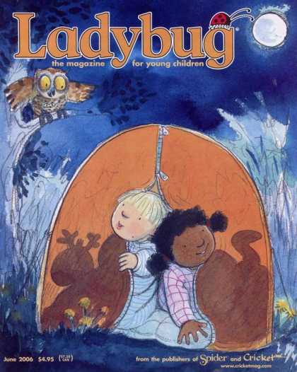 Various Magazines 6145