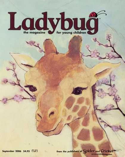 Various Magazines 6148