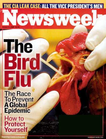 Various Magazines 6715