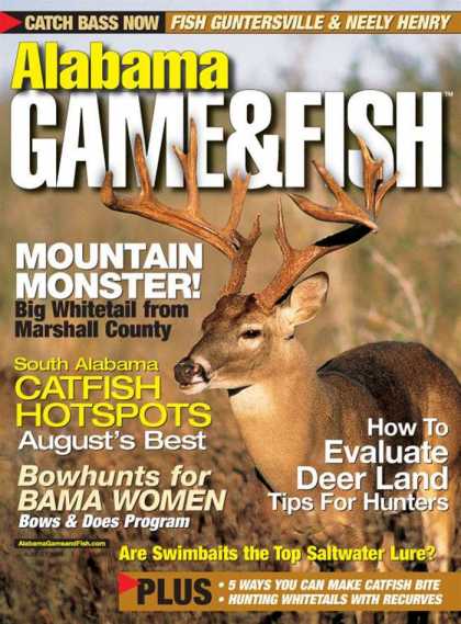 Various Magazines 7340