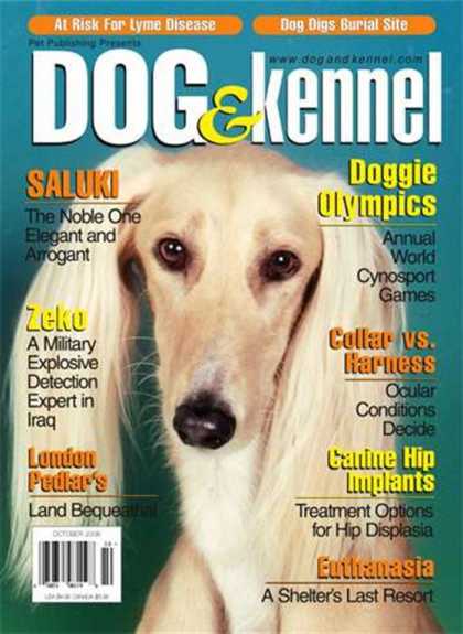 Various Magazines 7464