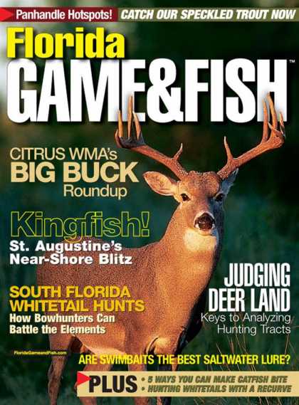 Various Magazines 7519