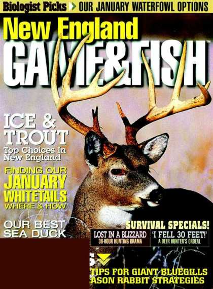 Various Magazines 7624