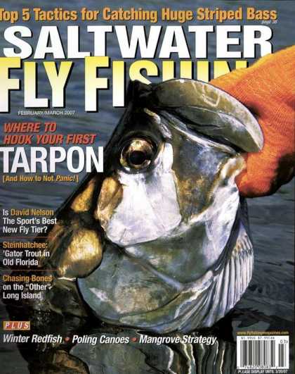 Various Magazines 7918