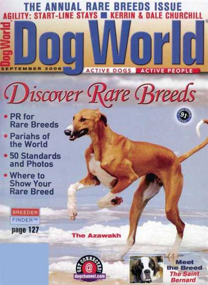 Various Magazines 8161