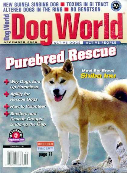 Various Magazines 8164