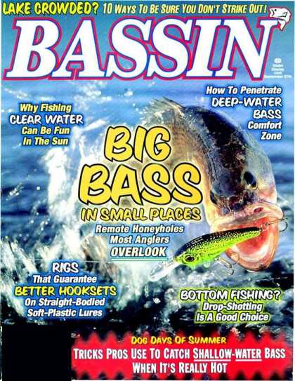 Various Magazines 8831