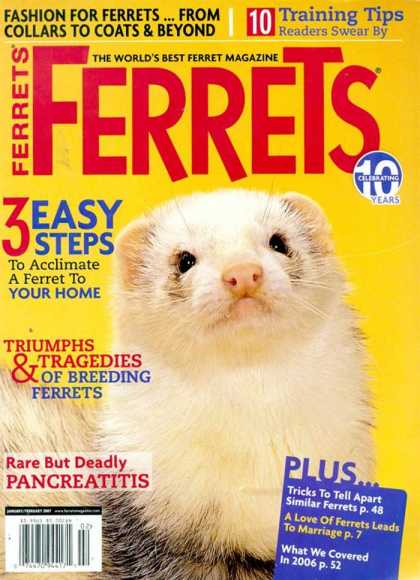 Various Magazines 8903