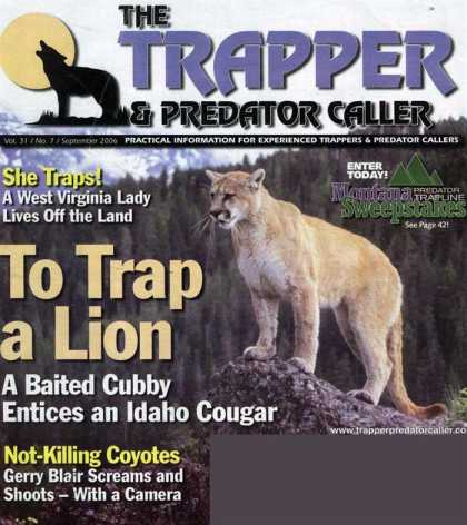 Various Magazines 9011