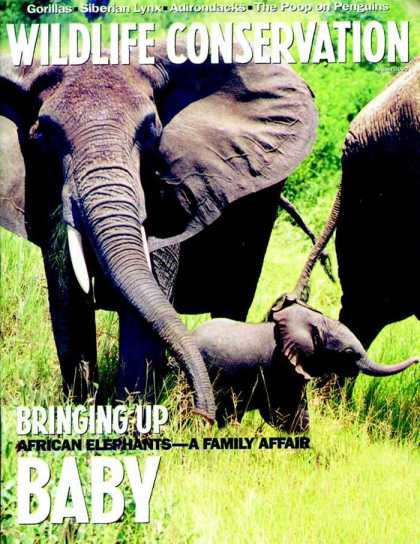 Various Magazines 9074