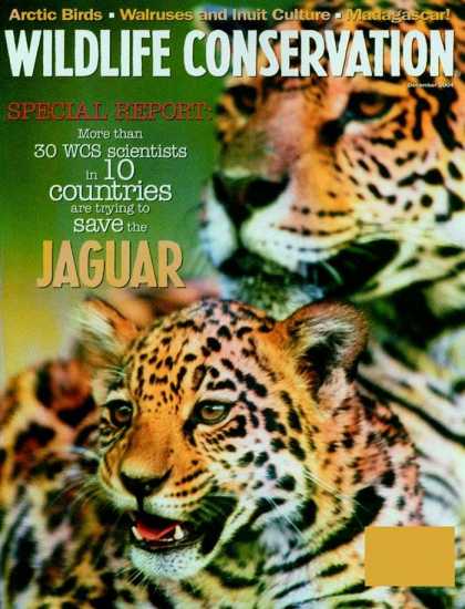 Various Magazines 9076