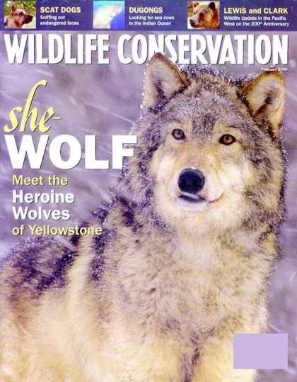 Various Magazines 9077