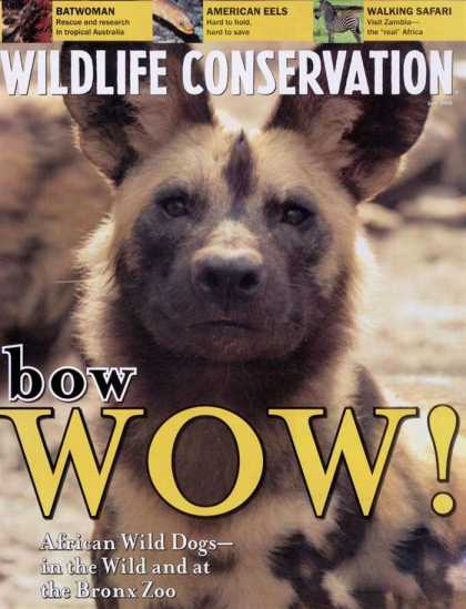 Various Magazines 9080