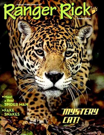 Various Magazines 9693