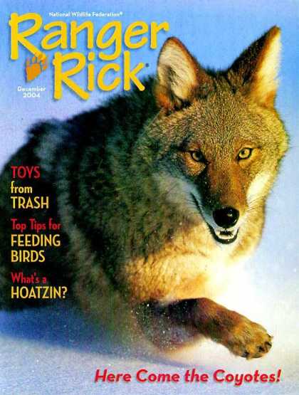 Various Magazines 9695