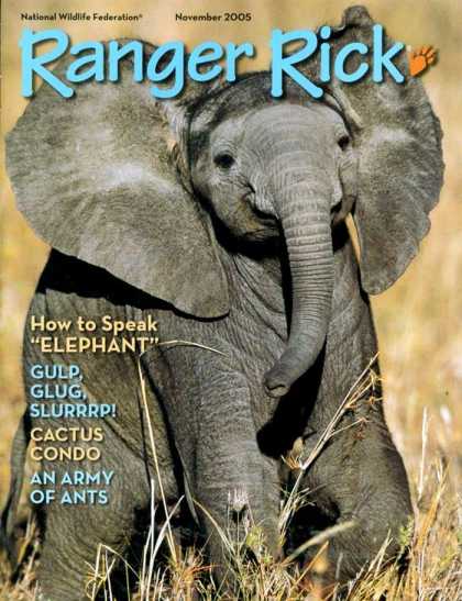 Various Magazines 9705