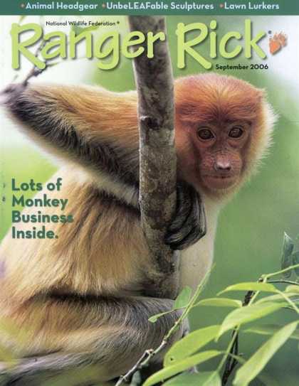 Various Magazines 9712