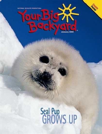 Various Magazines 9719