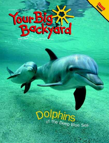 Various Magazines 9721