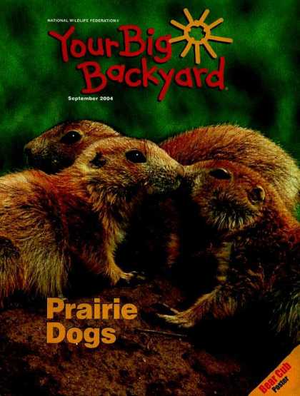 Various Magazines 9723