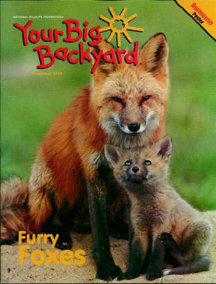 Various Magazines 9725