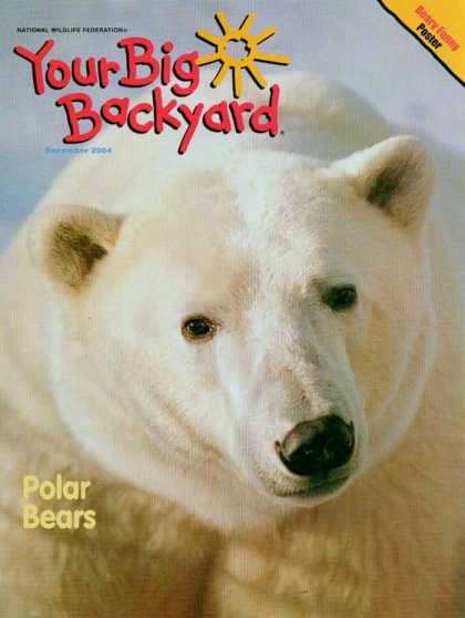 Various Magazines 9726