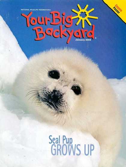 Various Magazines 9727