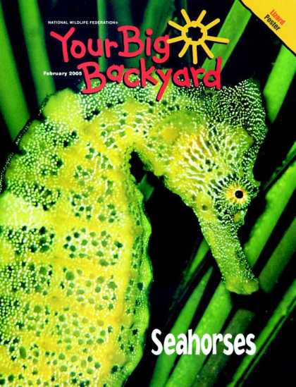 Various Magazines 9728