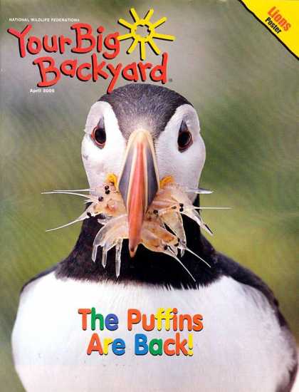 Various Magazines 9730