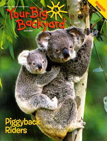 Various Magazines 9732