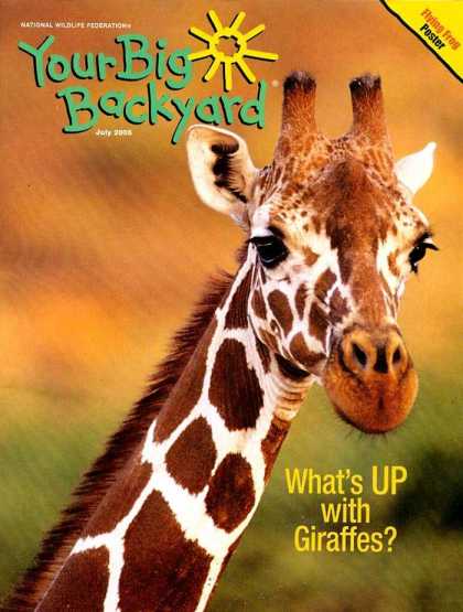 Various Magazines 9733