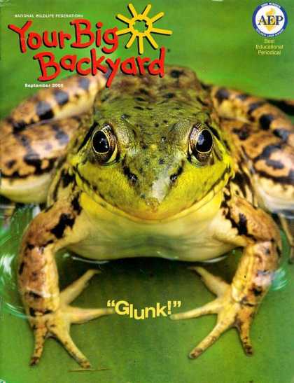 Various Magazines 9735