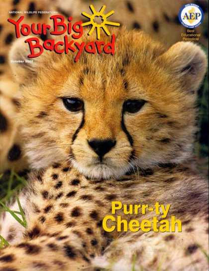 Various Magazines 9736