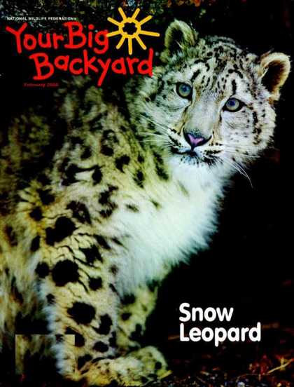 Various Magazines 9738