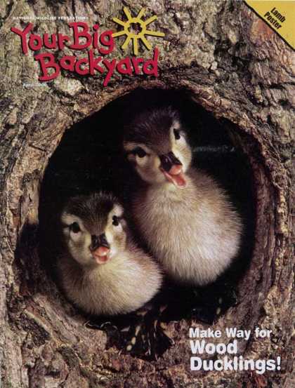 Various Magazines 9739