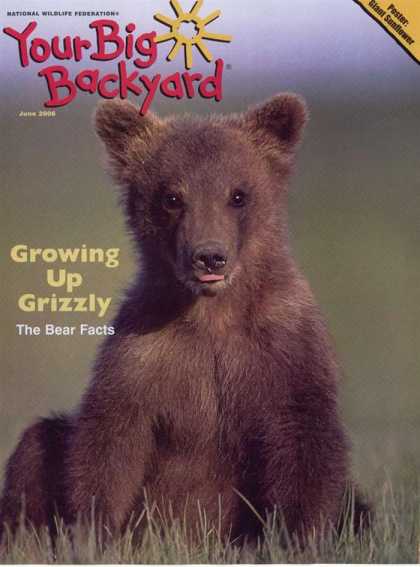 Various Magazines 9741