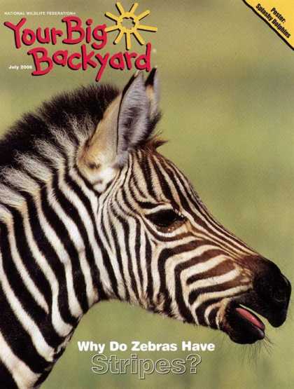 Various Magazines 9742