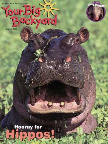 Various Magazines 9743